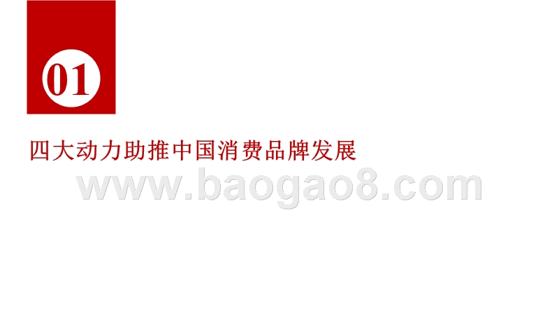 中国消费品牌发展大数据研究报告.pptx_第4页