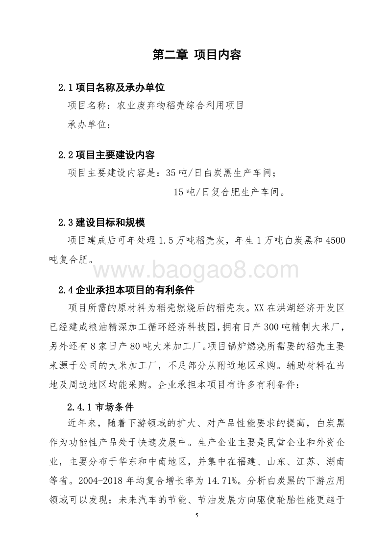 农业废弃物稻壳综合利用项目可行性研究报告.doc_第5页