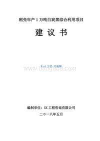 稻壳年产1万吨白炭黑综合利用项目建议书.doc