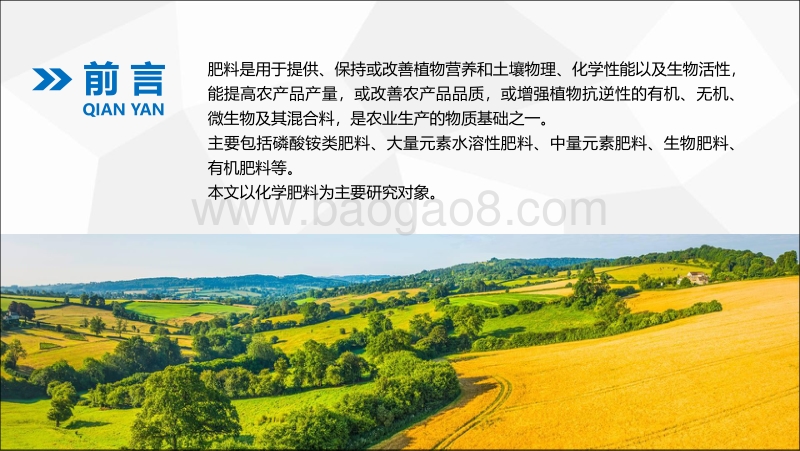 2018肥料行业大数据报告.pdf_第2页