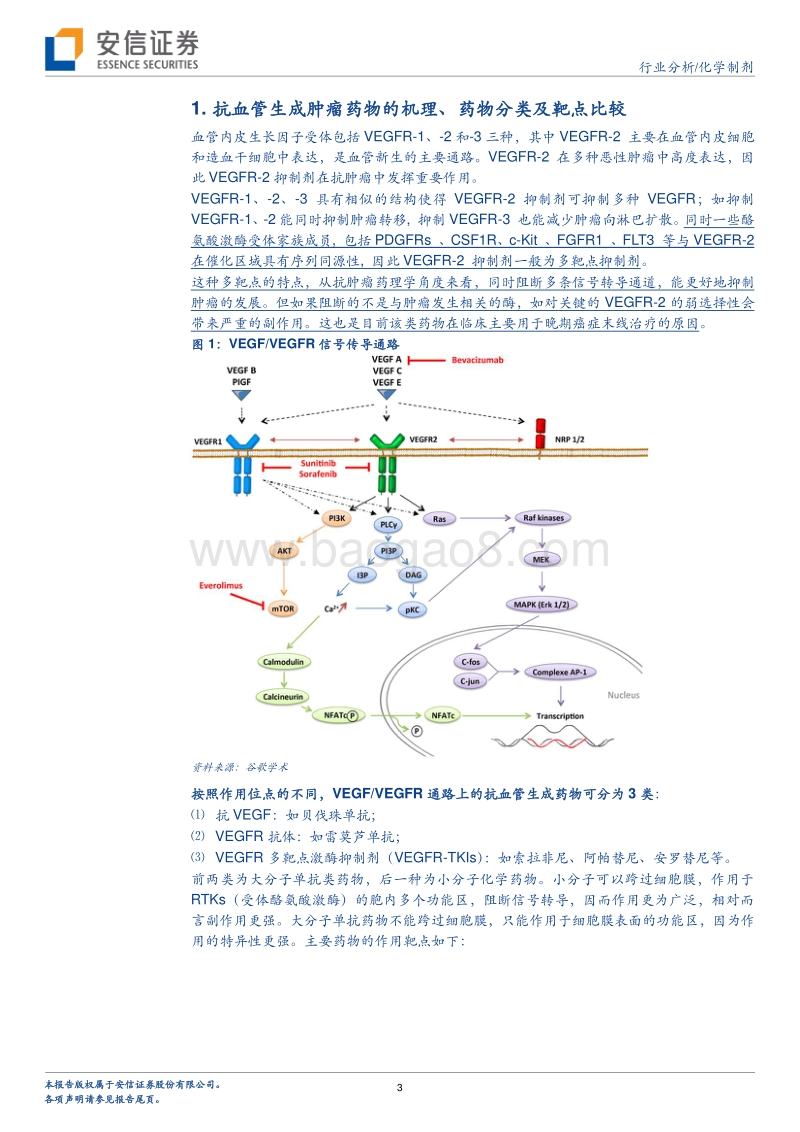 创新药系列报告：安罗替尼上市，解析抗血管生成肿瘤药的临床定位与前景.pdf_第3页