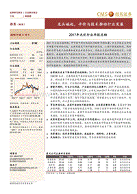 2017年光伏行业年报总结：龙头崛起，平价与技术推动行业发展.pdf