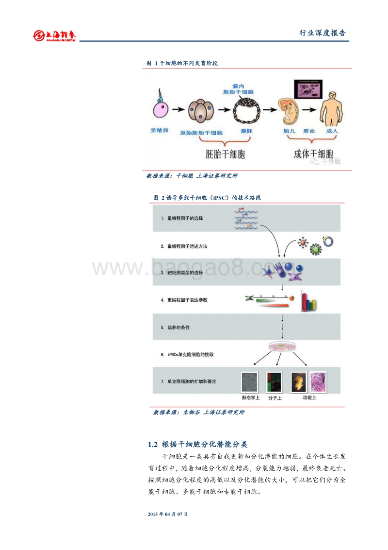 干细胞研究推动医药投资新蓝海.pdf_第3页