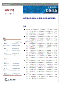 担保行业特别评论.pdf