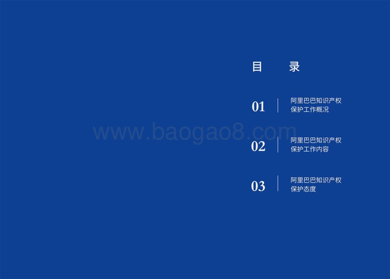 阿里巴巴知识产权保护手册.pdf_第2页