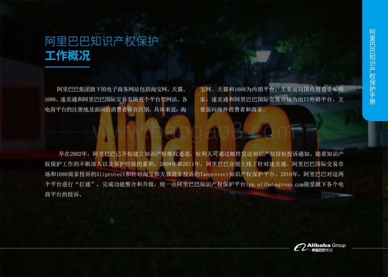 阿里巴巴知识产权保护手册.pdf_第3页