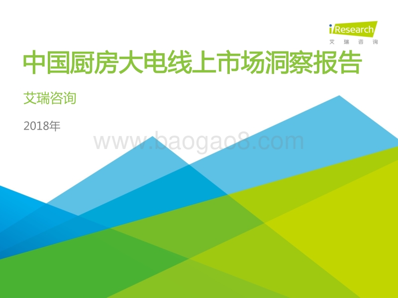 2018年中国厨房大电线上市场洞察报告.pdf_第1页