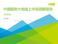 2018年中国厨房大电线上市场洞察报告.pdf
