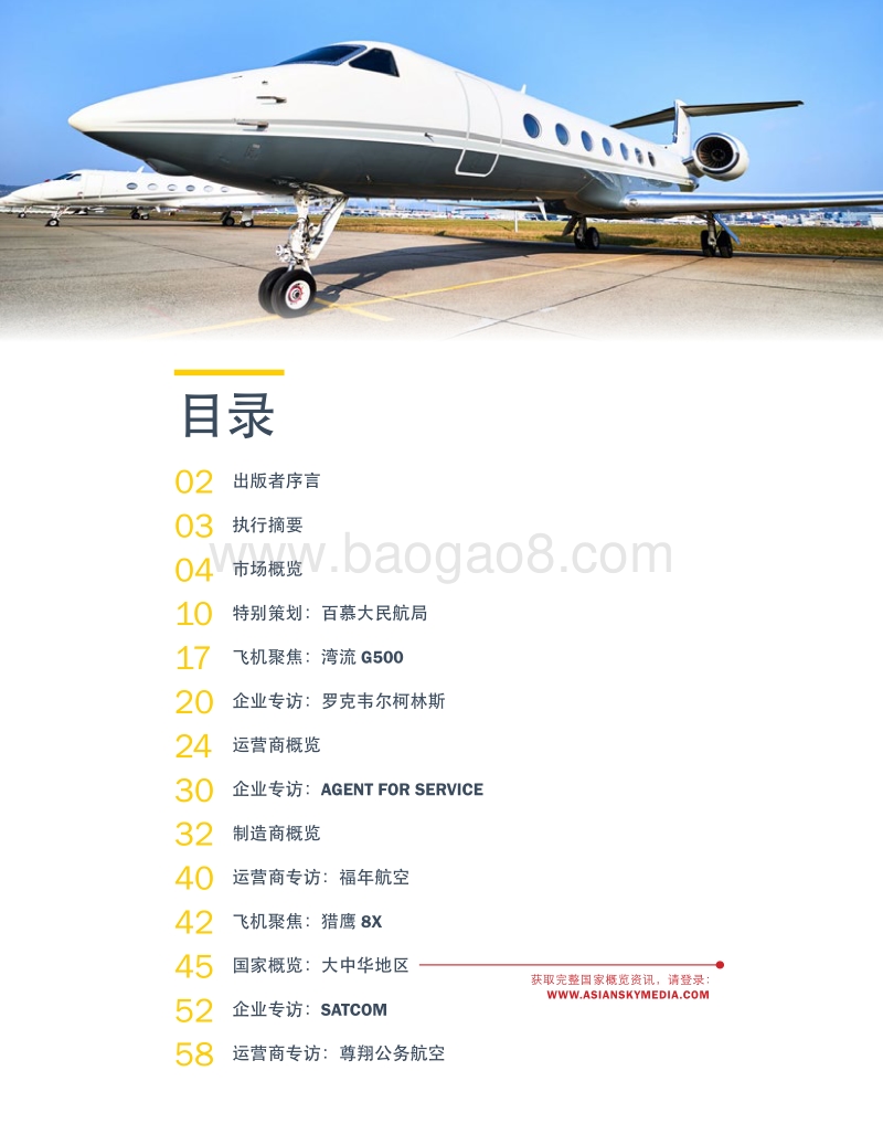 2017年亚太区公务机机队报告.pdf_第3页