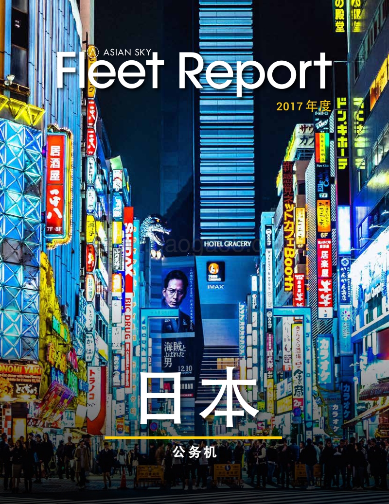 2017年亚太区公务机机队报告--国家概览.pdf_第1页