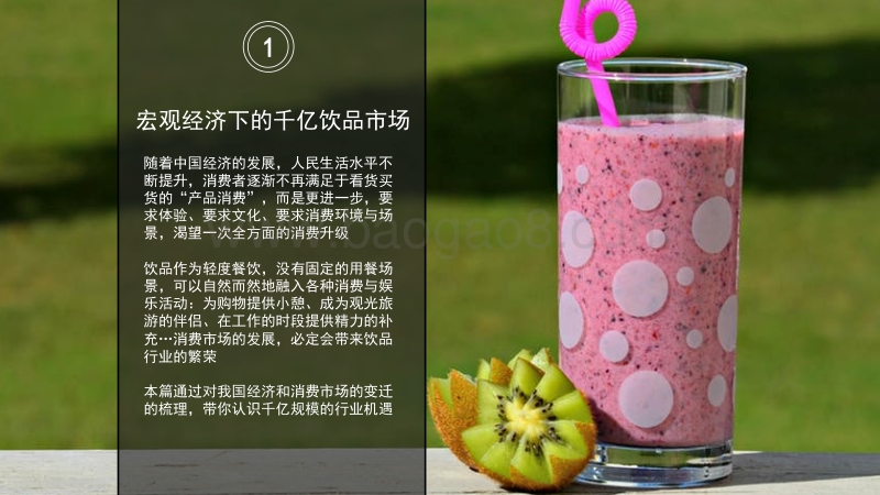 2017中国饮品店发展报告.pdf_第3页