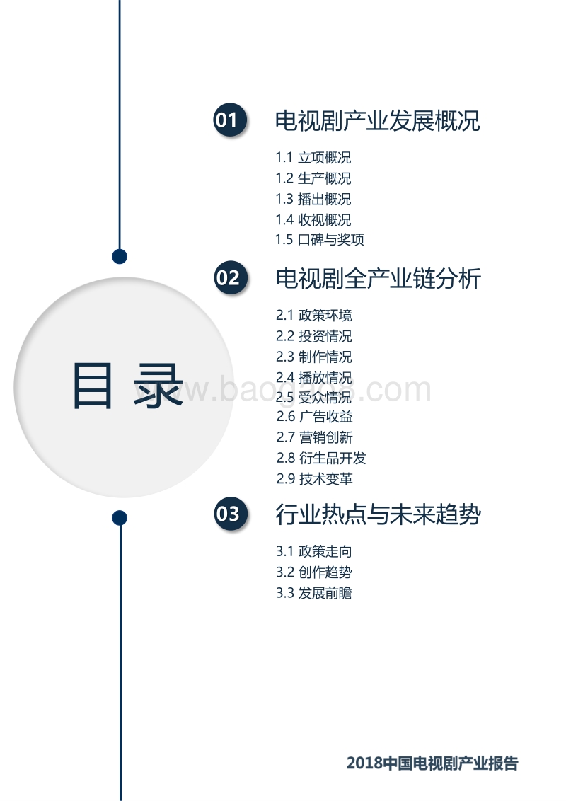 2018中国电视剧产业发展报告.pdf_第2页