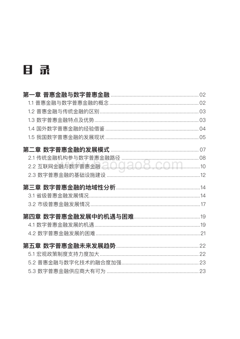 2016数字普惠 金融白皮书.pdf_第2页
