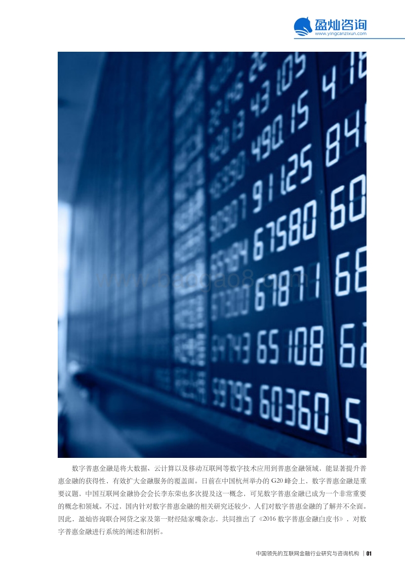 2016数字普惠 金融白皮书.pdf_第3页