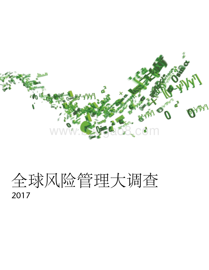2017全球风险管理大调查.pdf_第1页