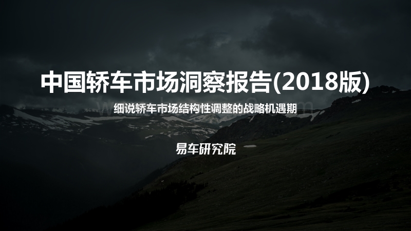 2018版中国轿车市场洞察报告.pdf_第1页