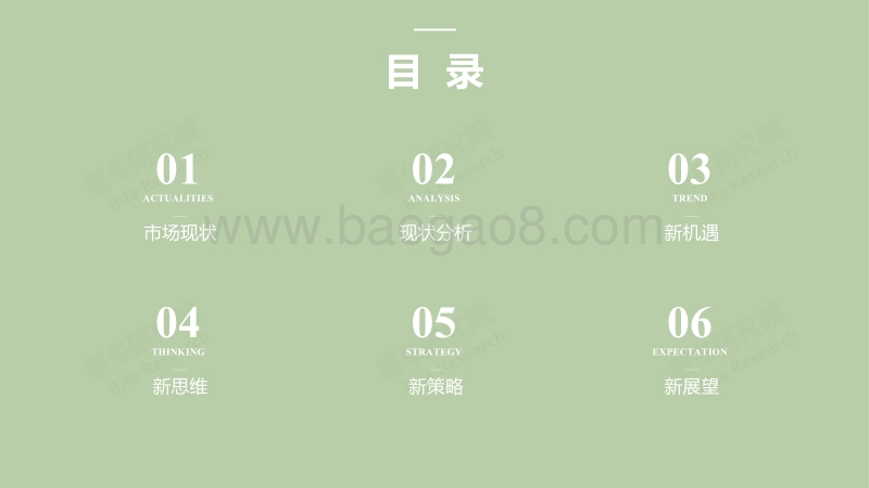 2018版中国轿车市场洞察报告.pdf_第2页