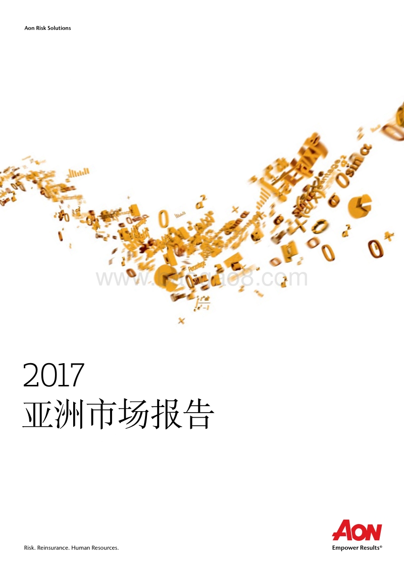 2017亚洲市场报告.pdf_第1页