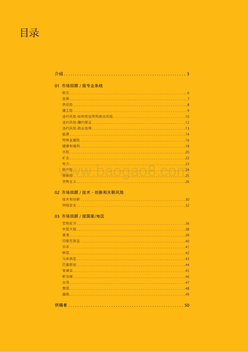 2017亚洲市场报告.pdf_第2页