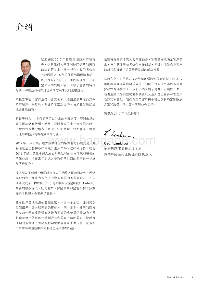 2017亚洲市场报告.pdf_第3页