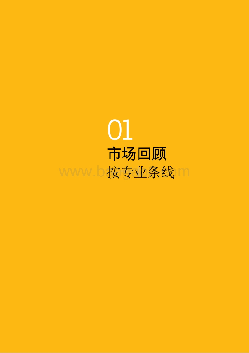 2017亚洲市场报告.pdf_第5页