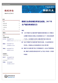 钢铁行业特别评论.pdf