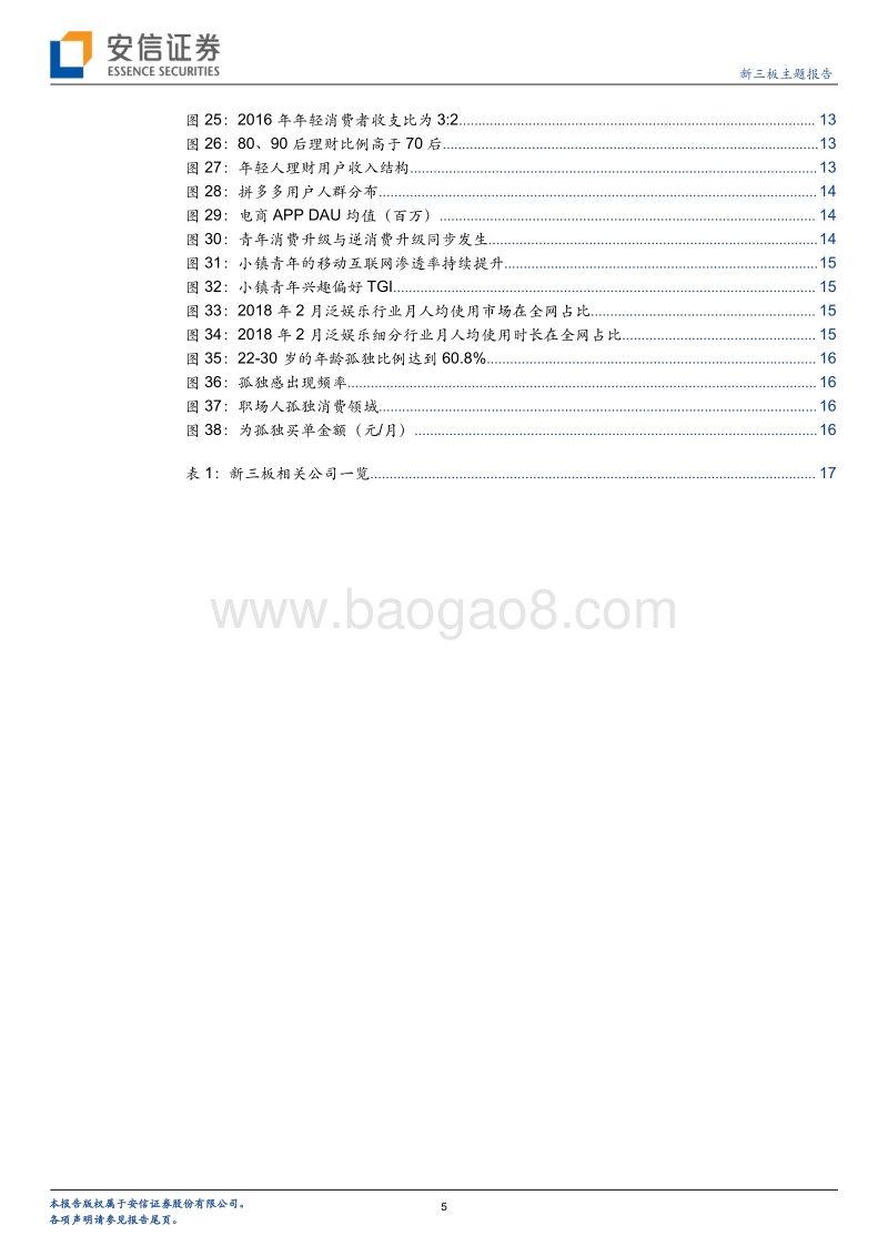 YOUNG动力！YOUNG经济！消费群体结构化之新青年.pdf_第5页