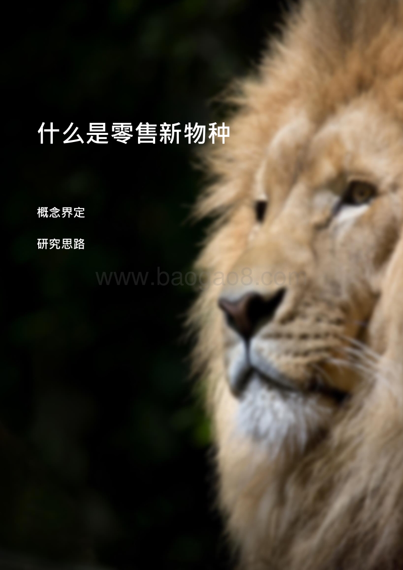 2018年中国零售新物种研究报告.pdf_第3页