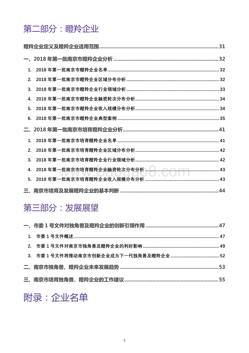 南京市独角兽、瞪羚企业发展白皮书.pdf_第4页