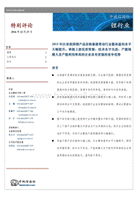 锂行业特别评论.pdf