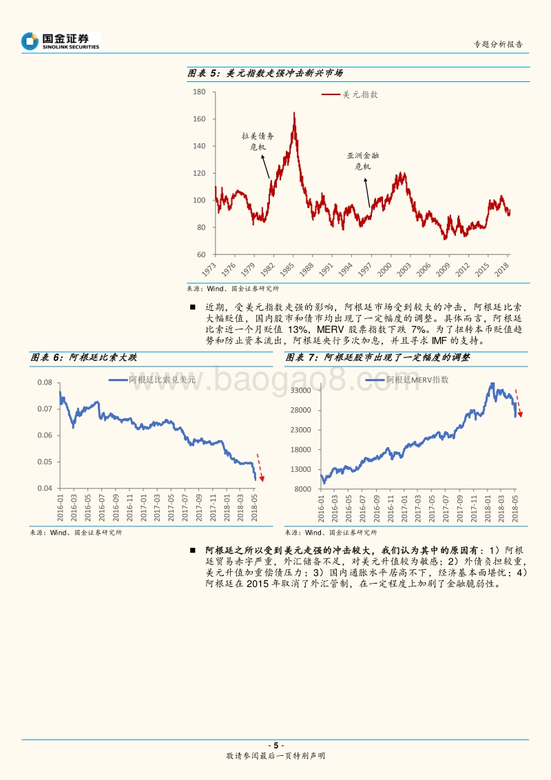 汇率专题分析报告：强美元来袭，阿根廷币值大跌，新兴市场如何应对.pdf_第5页