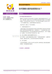 如何理解大额风险管理办法？.pdf