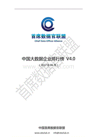 中国大数据企业排行榜V4.0.pdf