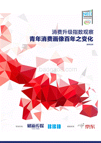 消费升级指数观察：青年消费画像百年之变化.pdf