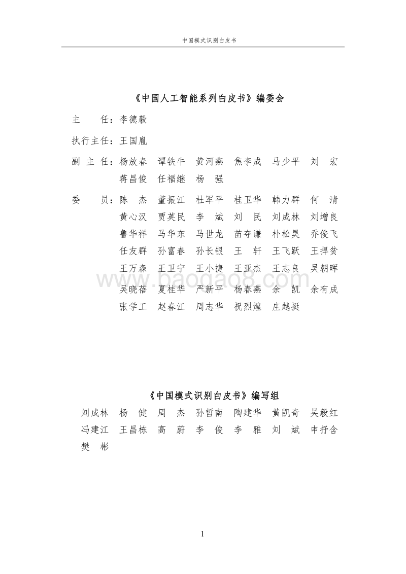 中国模式识别白皮书.pdf_第2页