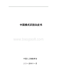 中国模式识别白皮书.pdf