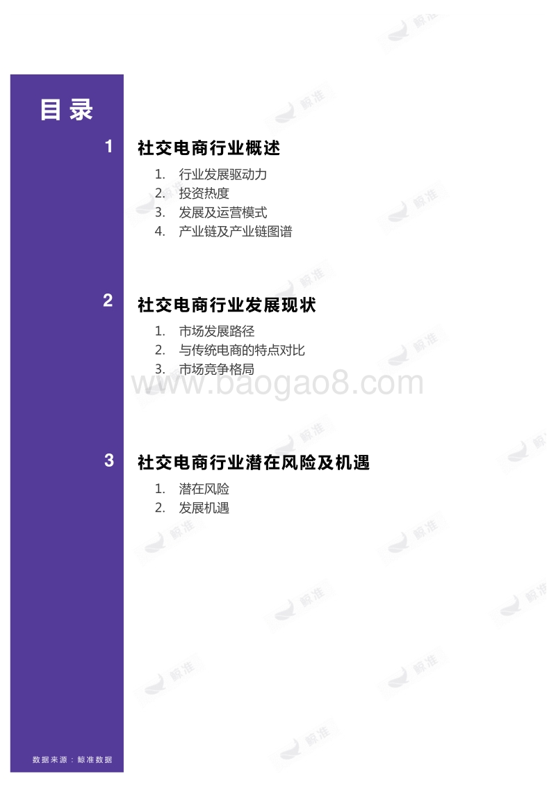 社交电商行业研究报告.pdf_第4页