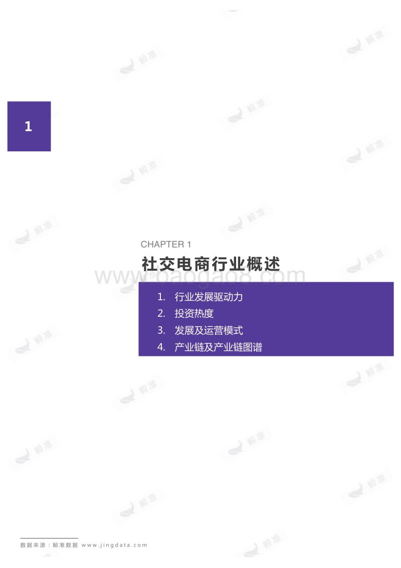 社交电商行业研究报告.pdf_第5页