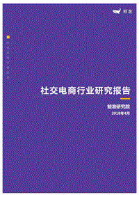社交电商行业研究报告.pdf