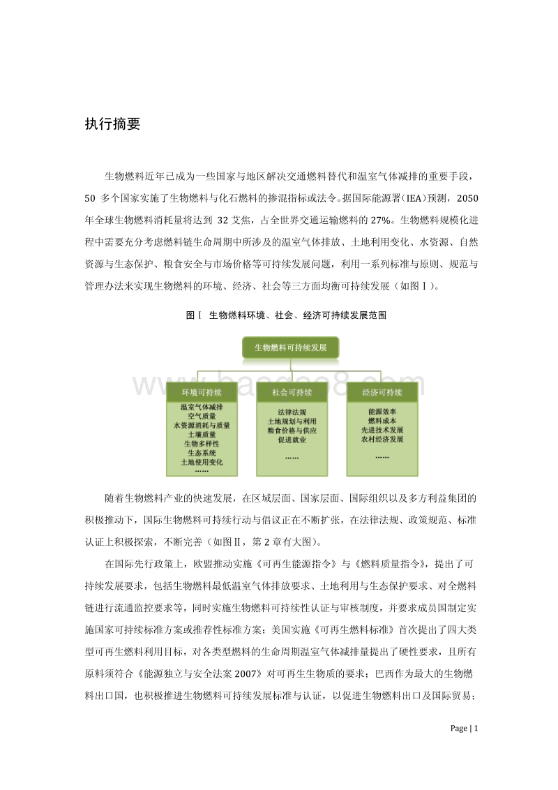 国际生物燃料可持续标准与政策背景报告.pdf_第3页