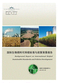 国际生物燃料可持续标准与政策背景报告.pdf