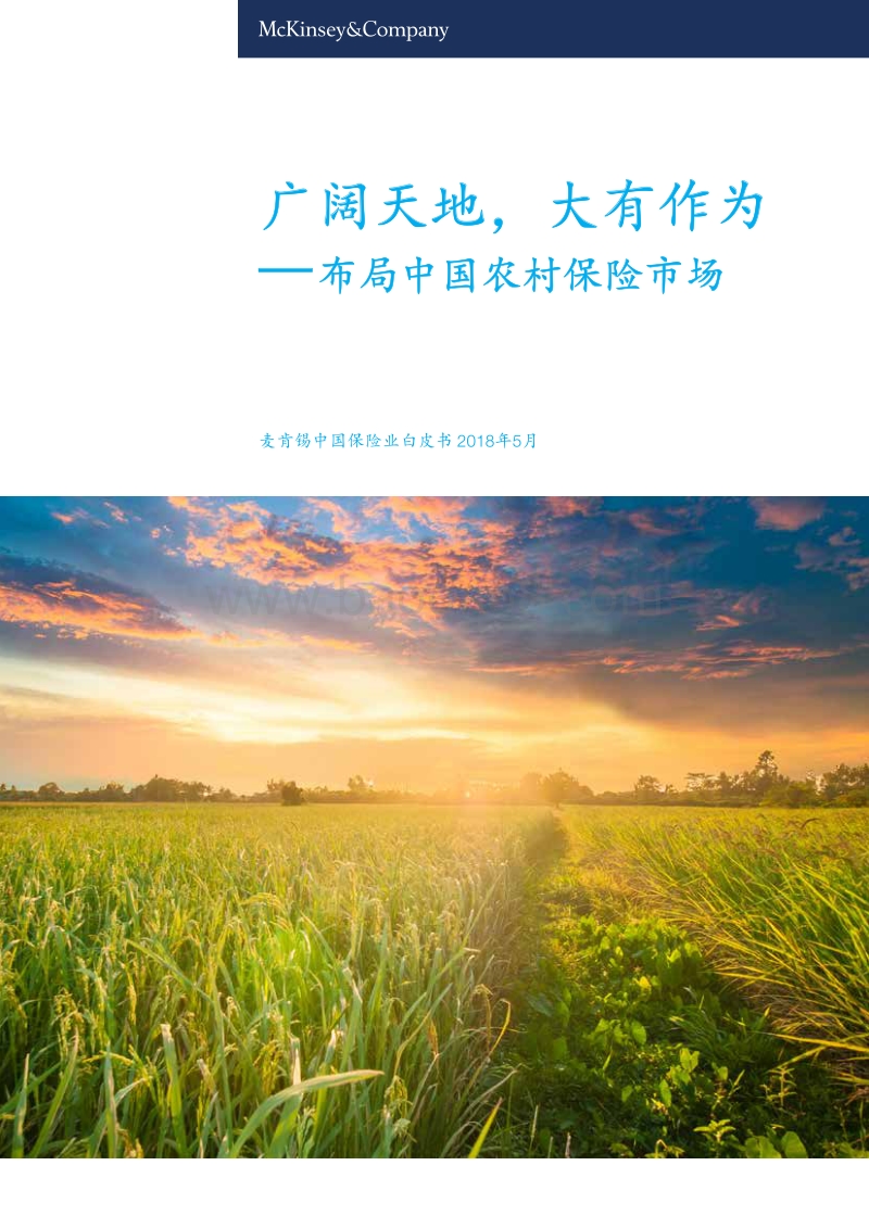 布局中国农村保险市场：广阔天地，大有作为.pdf_第1页