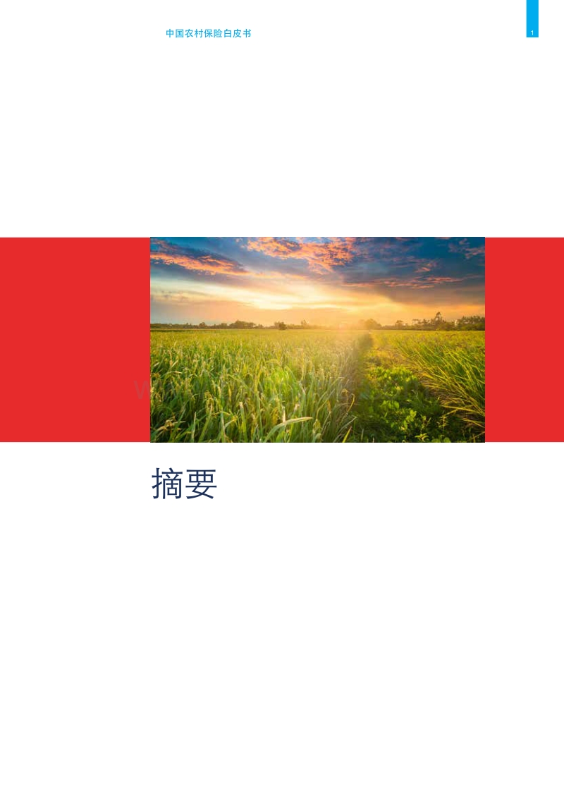 布局中国农村保险市场：广阔天地，大有作为.pdf_第5页