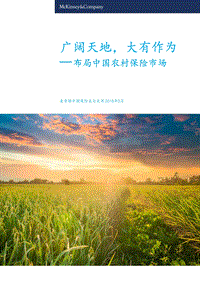 布局中国农村保险市场：广阔天地，大有作为.pdf