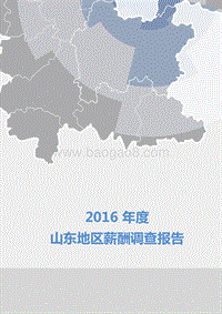 2016年度山东地区薪酬调查报告.pdf