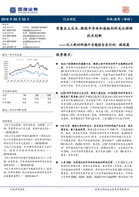 化工新材料海外专题报告系列四：韩国篇：背靠本土巨头，韩国半导体和面板材料龙头持续技术创新.pdf