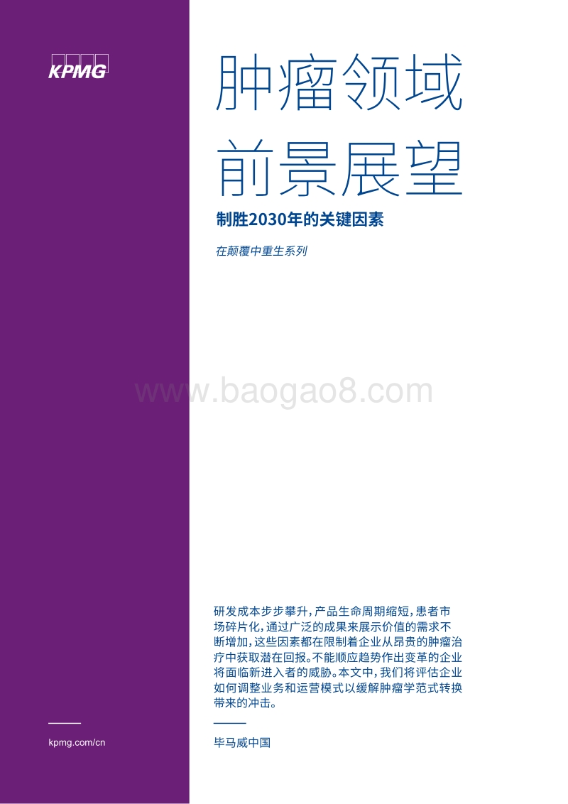 肿瘤领域前景展望：制胜2030年的关键因素.pdf_第1页