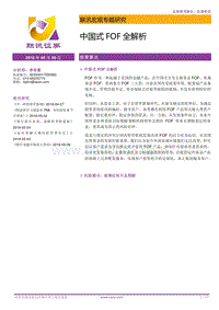 中国式FOF全解析.pdf