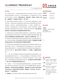 自主创新特色主题：自主创新驱动了哪些投资机会？.pdf