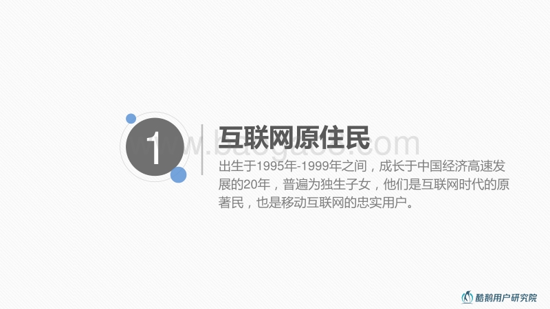 特立独行一代：深度解读95后互联网生活方式.pdf_第3页